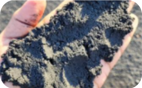 Iron Ore Fines